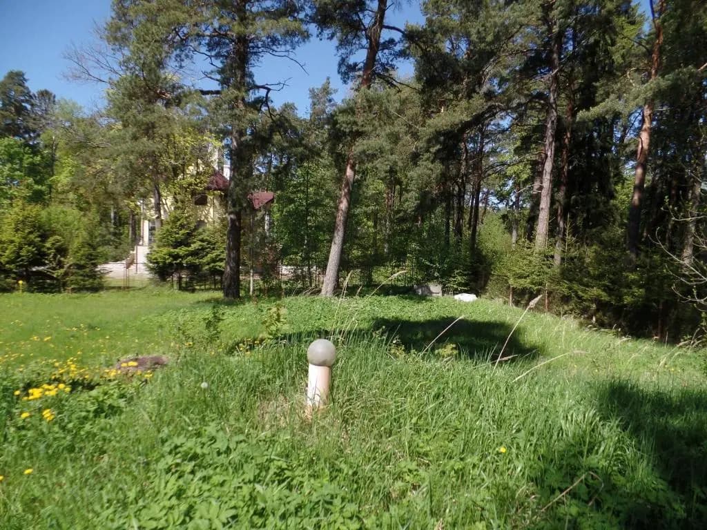 Vabaduse Guesthouse