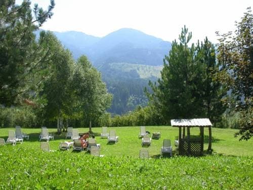 Photo 31