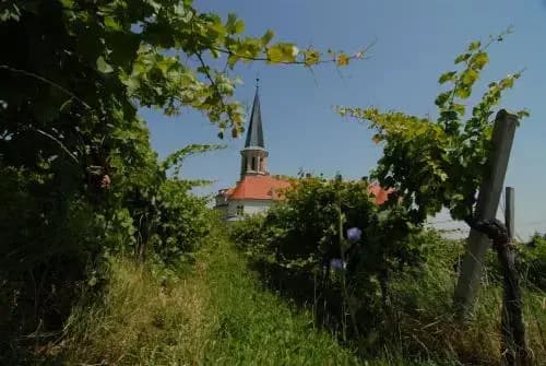 Photo 34