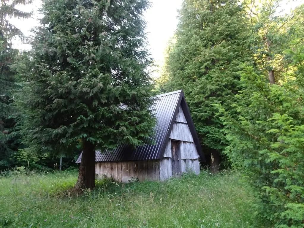 Photo 8