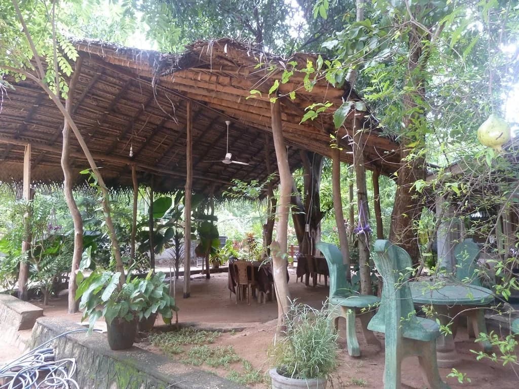 Photo 13