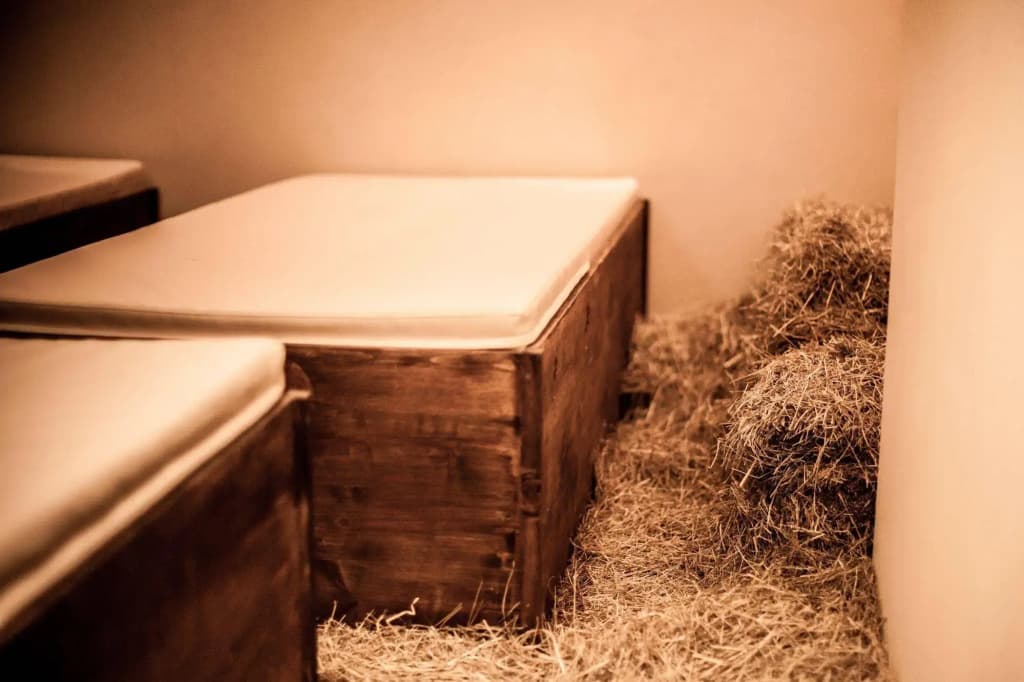 Photo 43
