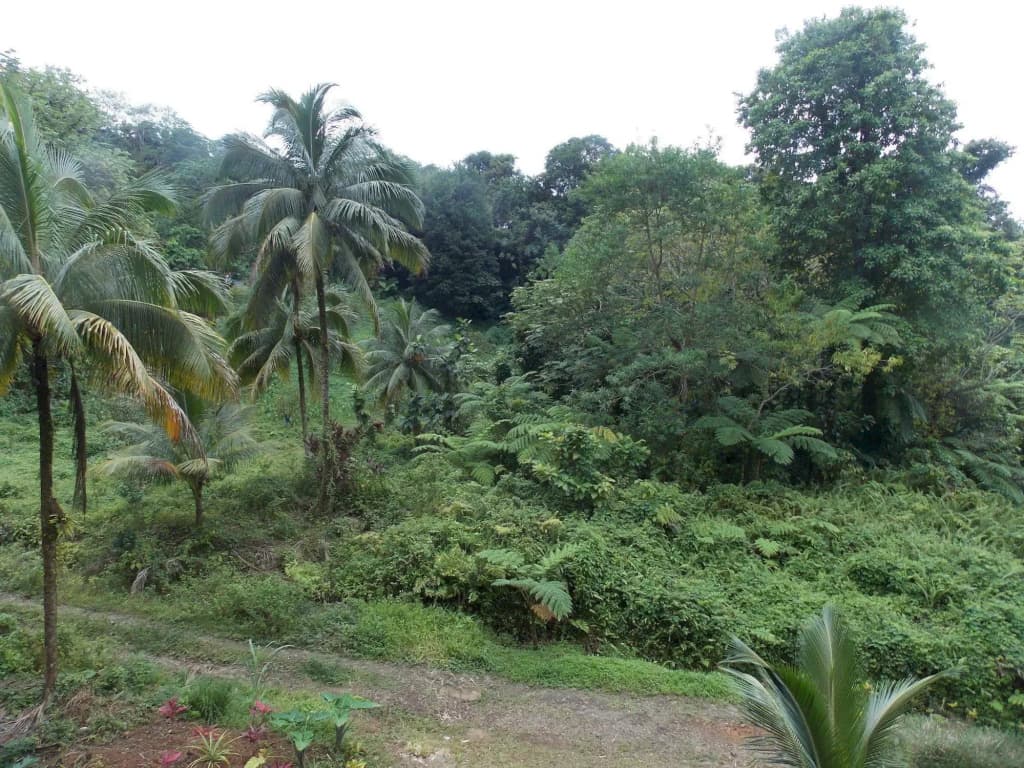 Photo 13