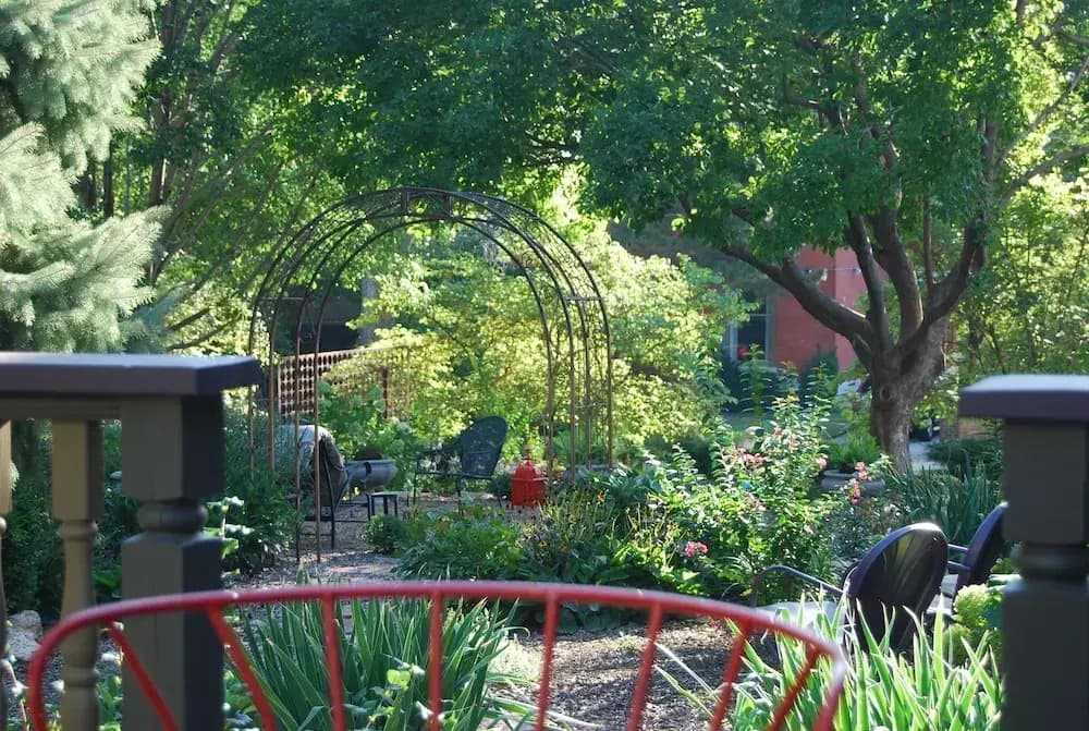 Photo 12
