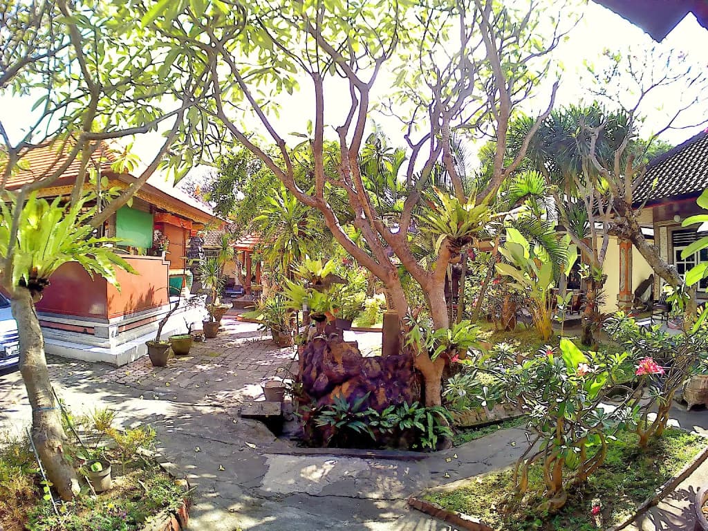 Photo 11