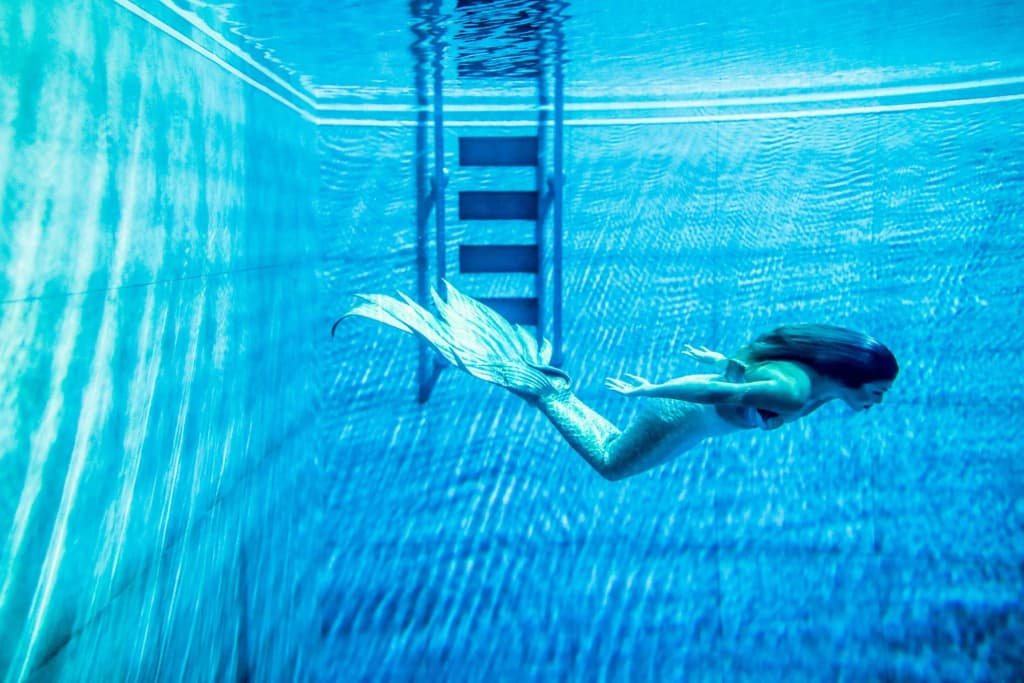 Photo 50