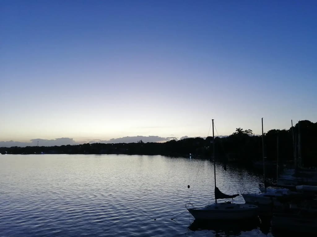 Photo 24