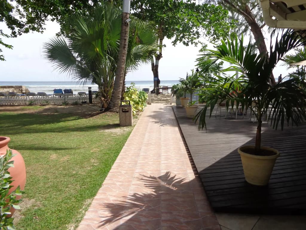 Photo 19