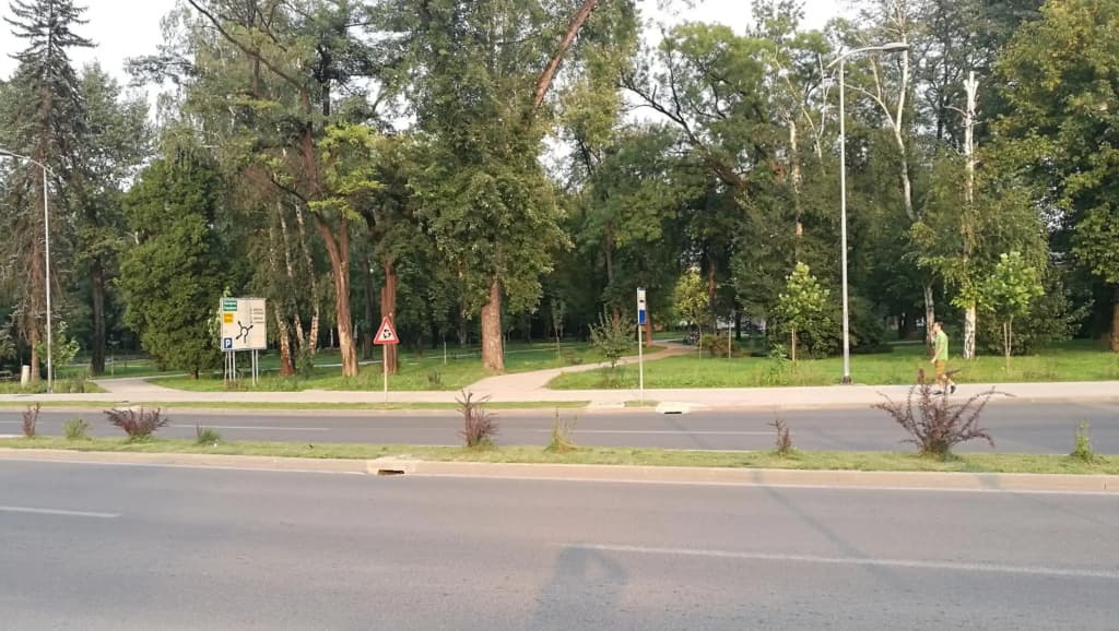 Photo 31