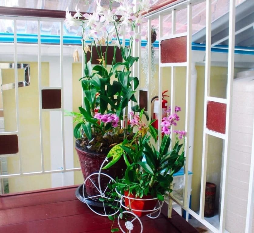 Photo 13
