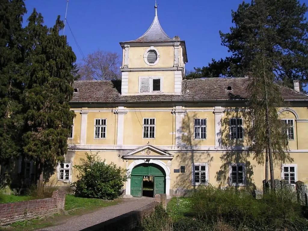 Photo 15