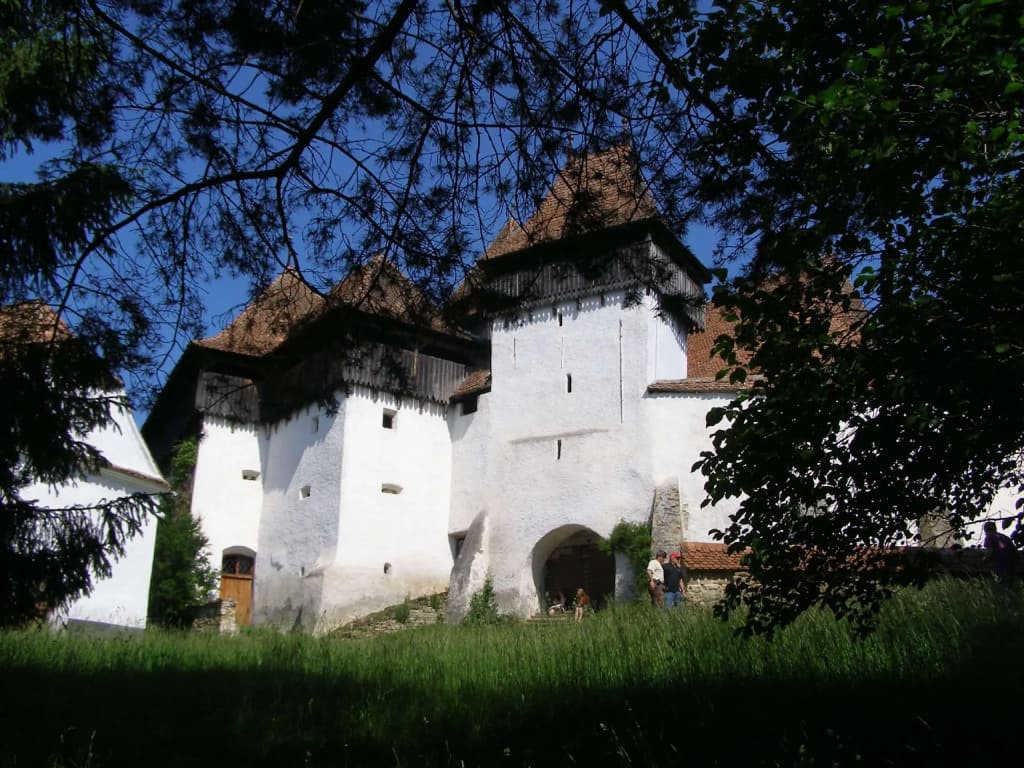 Photo 20