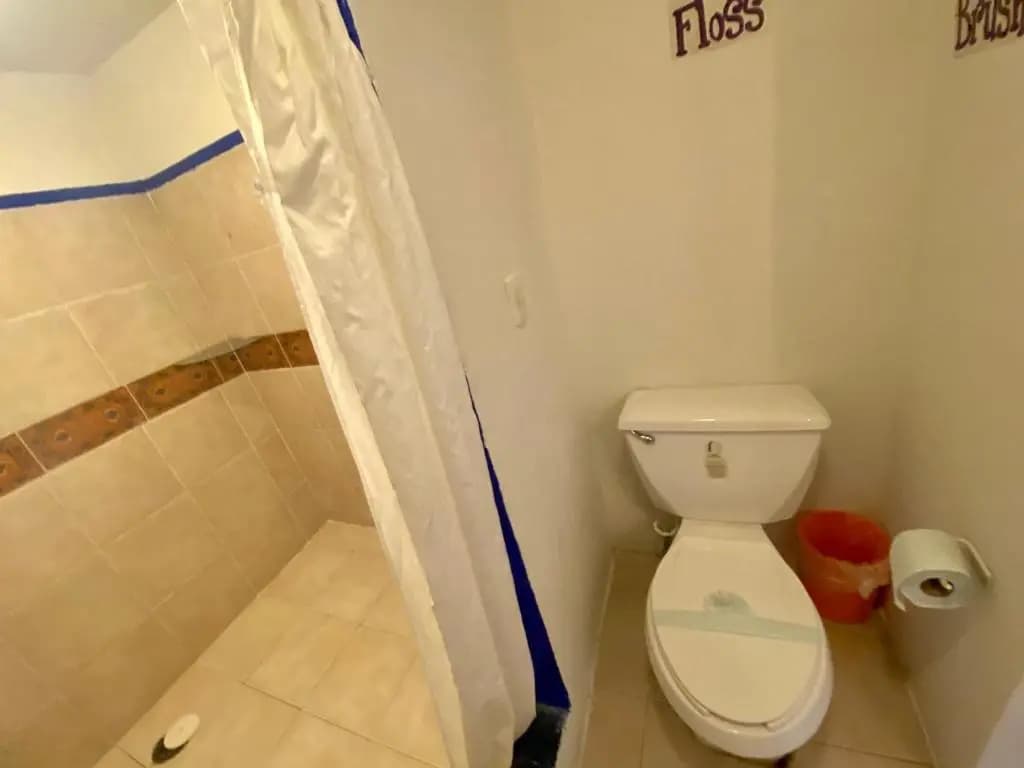 Photo 43