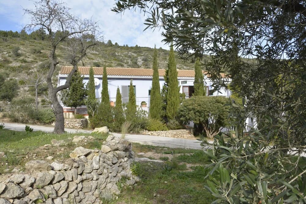 Photo 11
