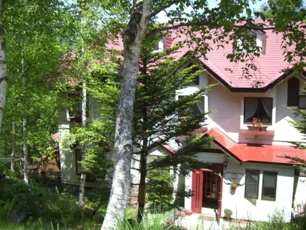 Photo 8