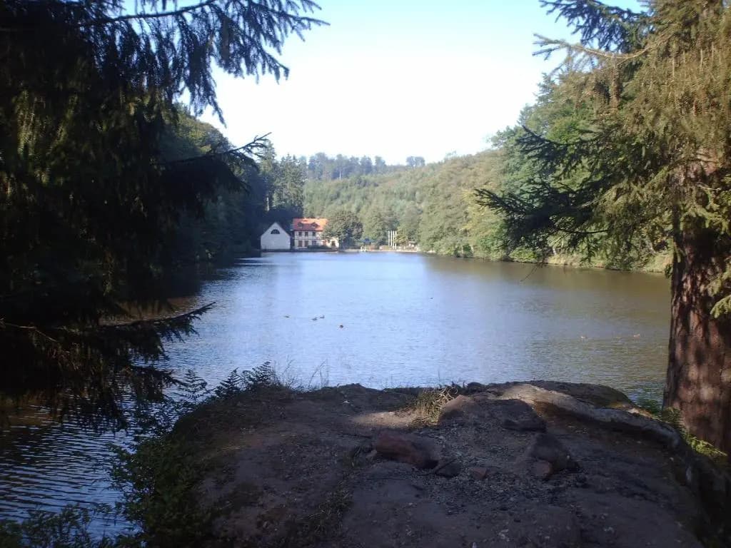 Photo 18