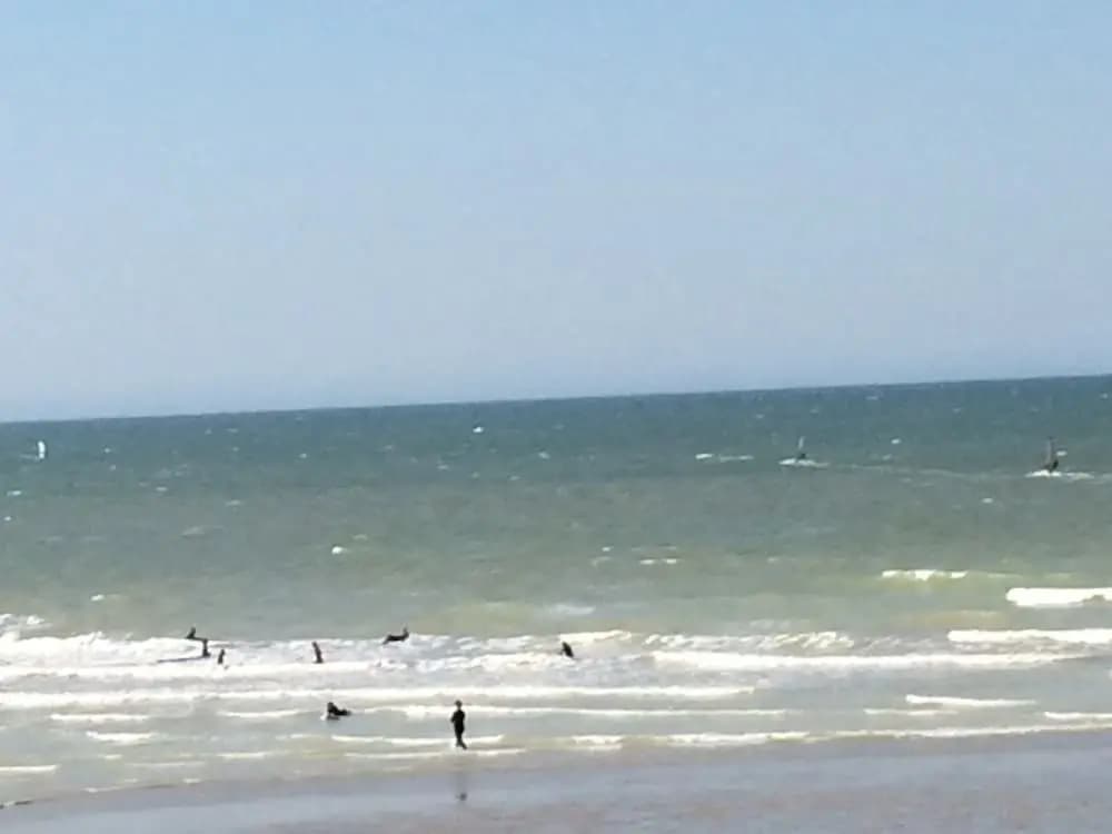 Photo 12
