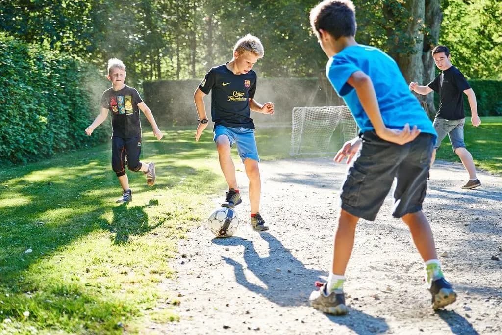 Photo 12