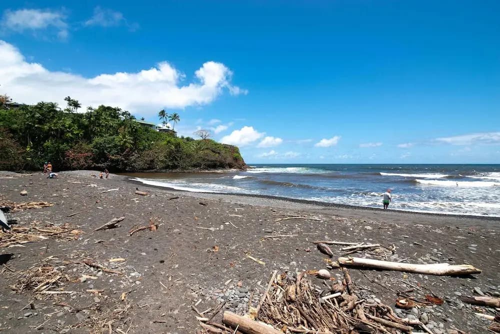 Hilo Apartment: Ocean Views on the Hamakua Coast!