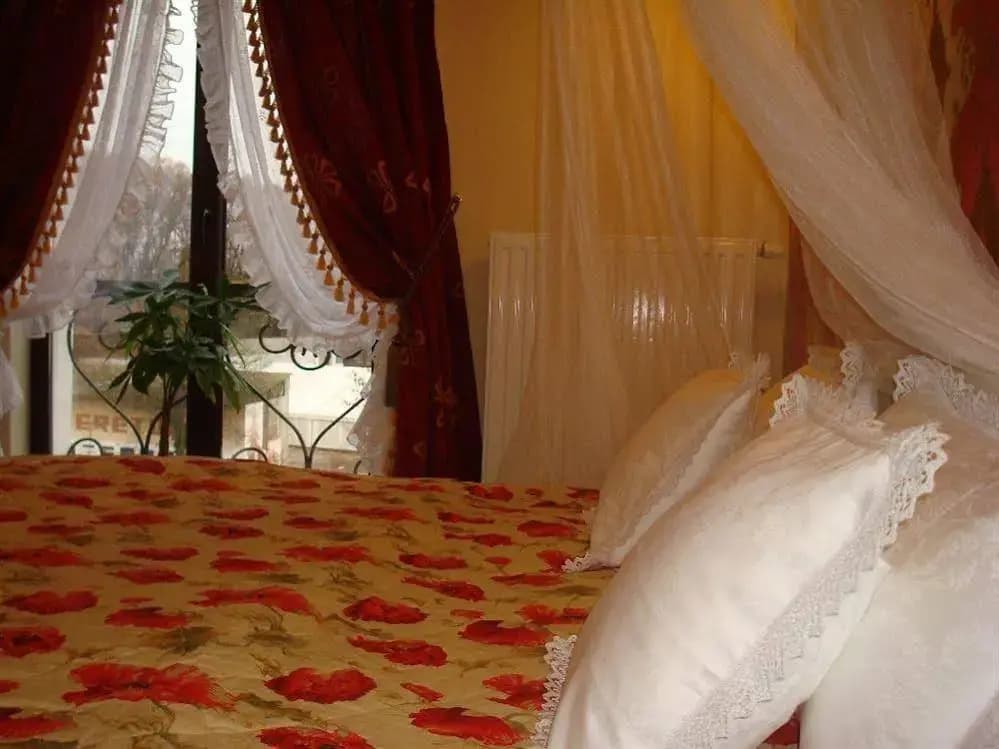 Hotel Ramina