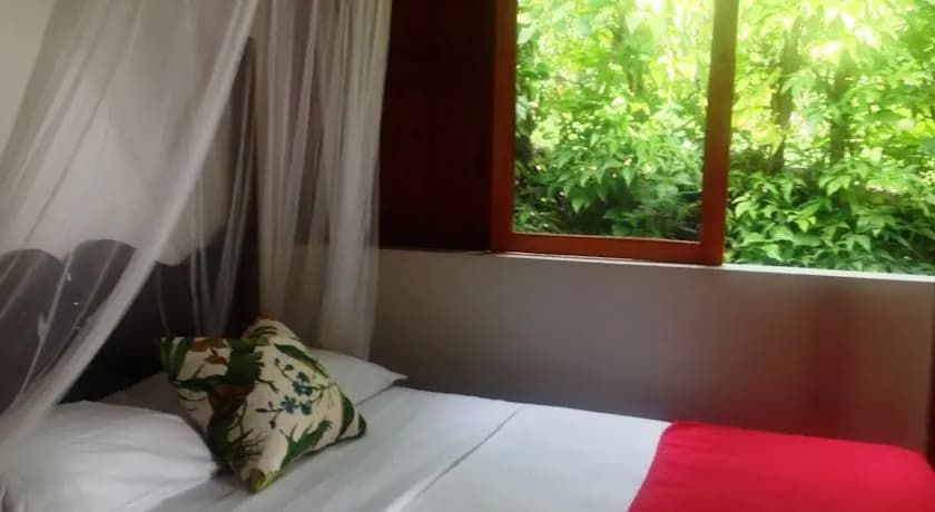 Hummingbird Inn