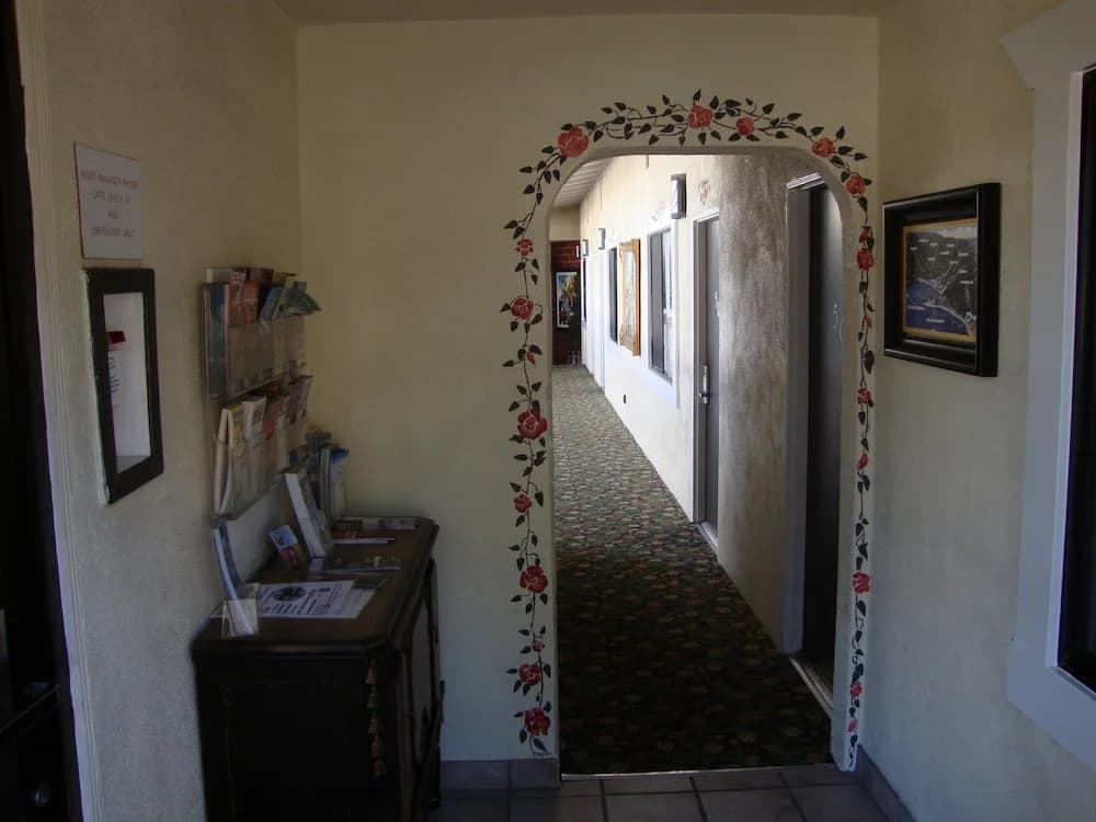 Photo 10
