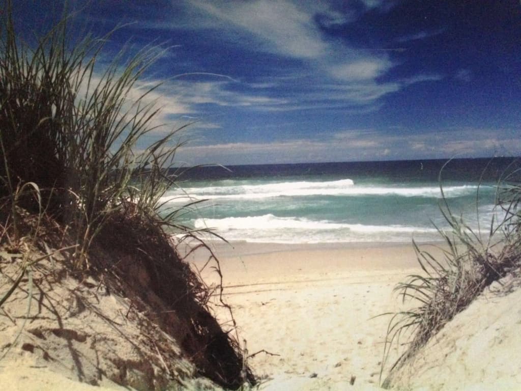 Photo 19