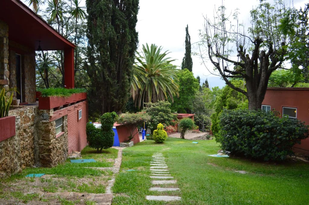 Photo 19