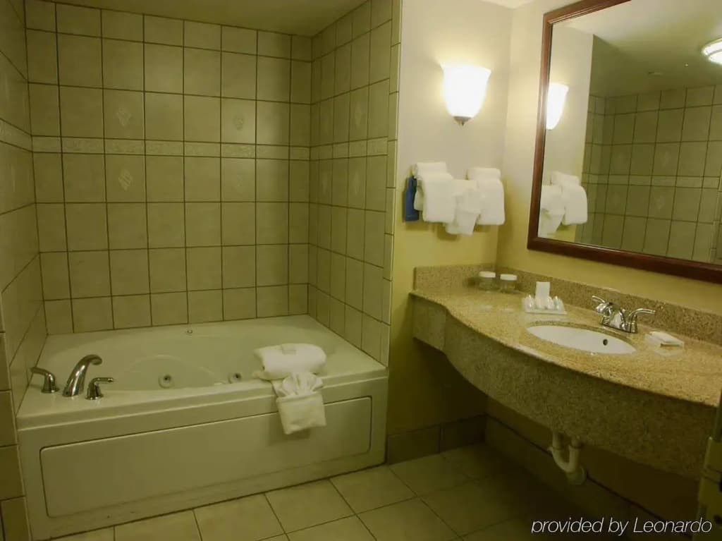 Photo 8
