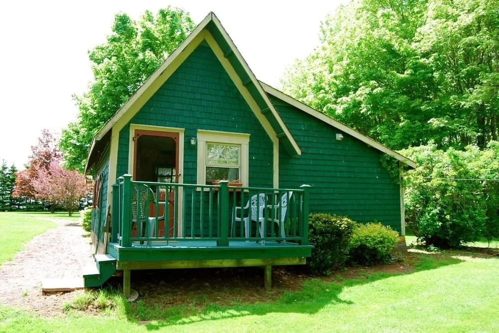 Photo 10