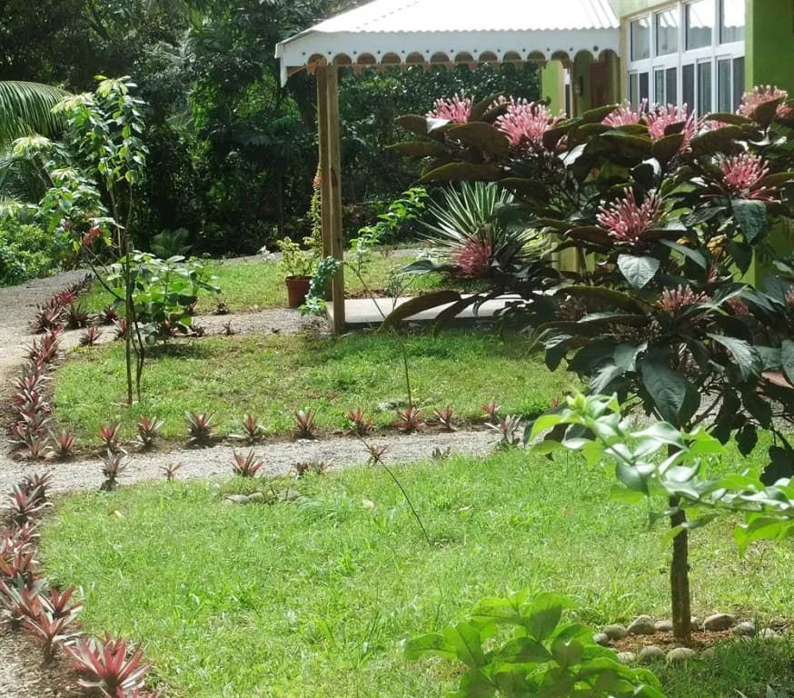 Photo 15