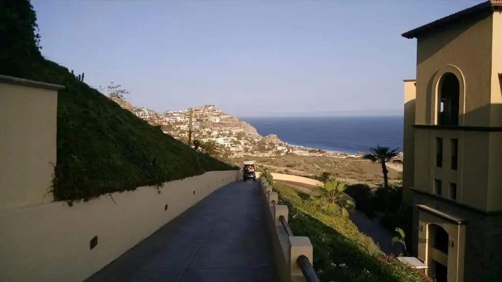 Photo 43