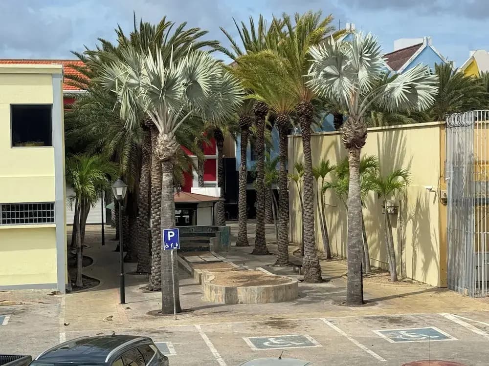 Photo 18