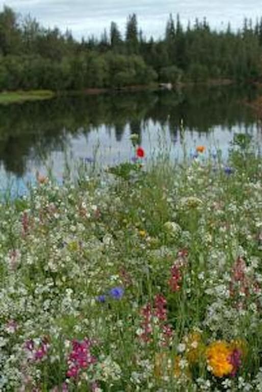 Photo 49