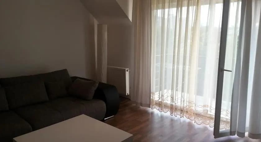 Cluj Lux Apartment Plopilor