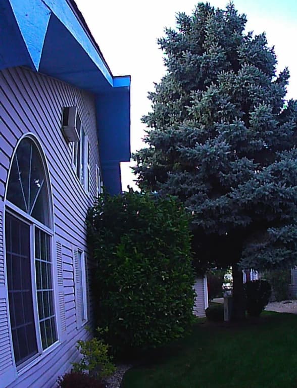 Photo 29