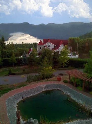 Timberline Chalet
