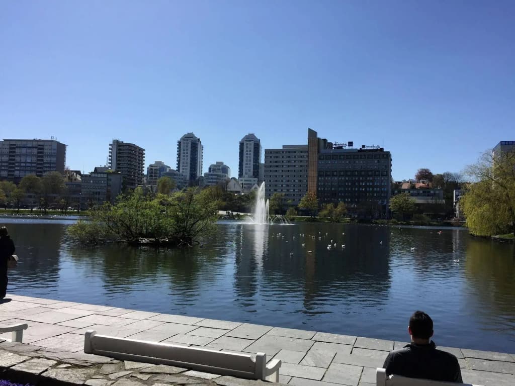 Photo 16