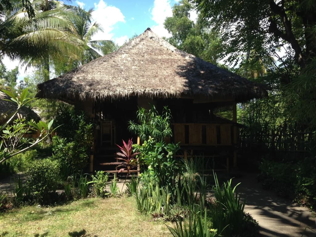 Photo 22