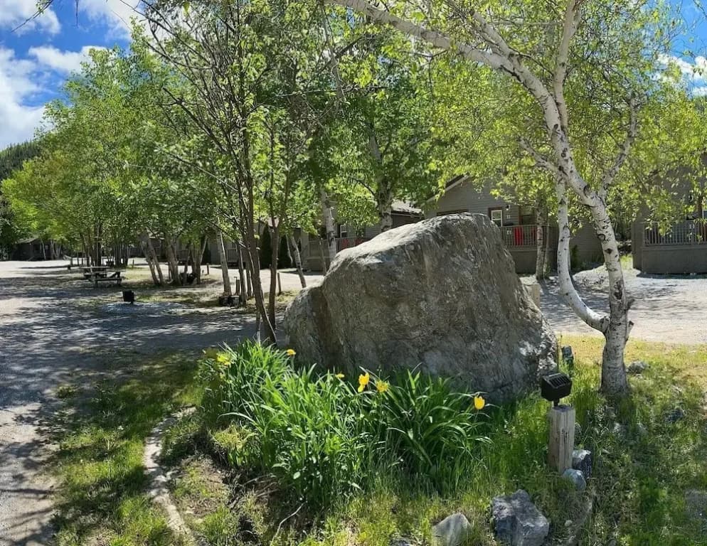 Photo 9