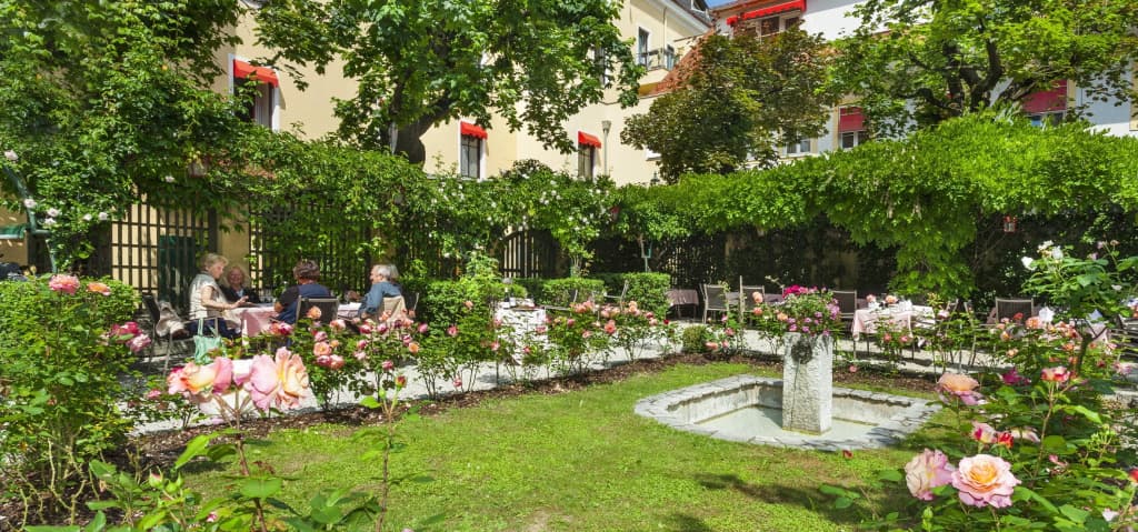 Photo 24