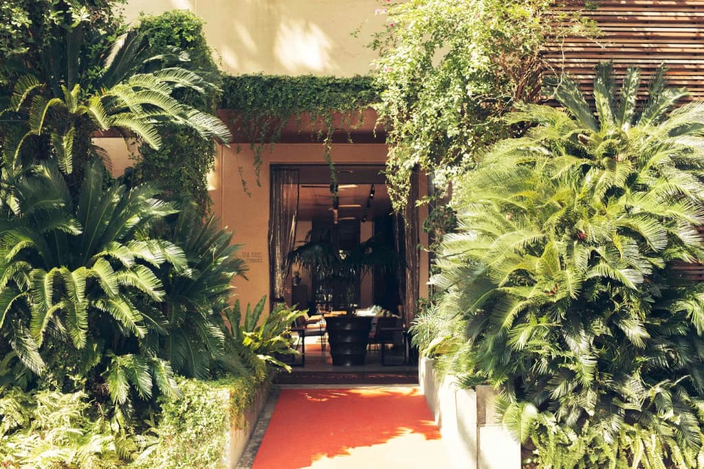 Photo 16