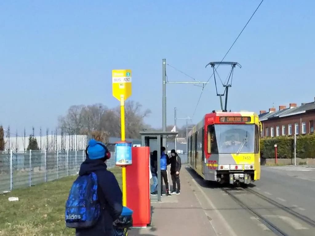 Photo 11