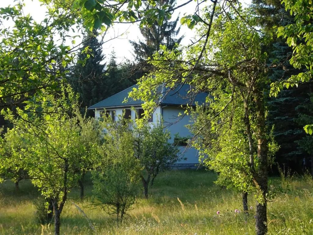 Photo 9