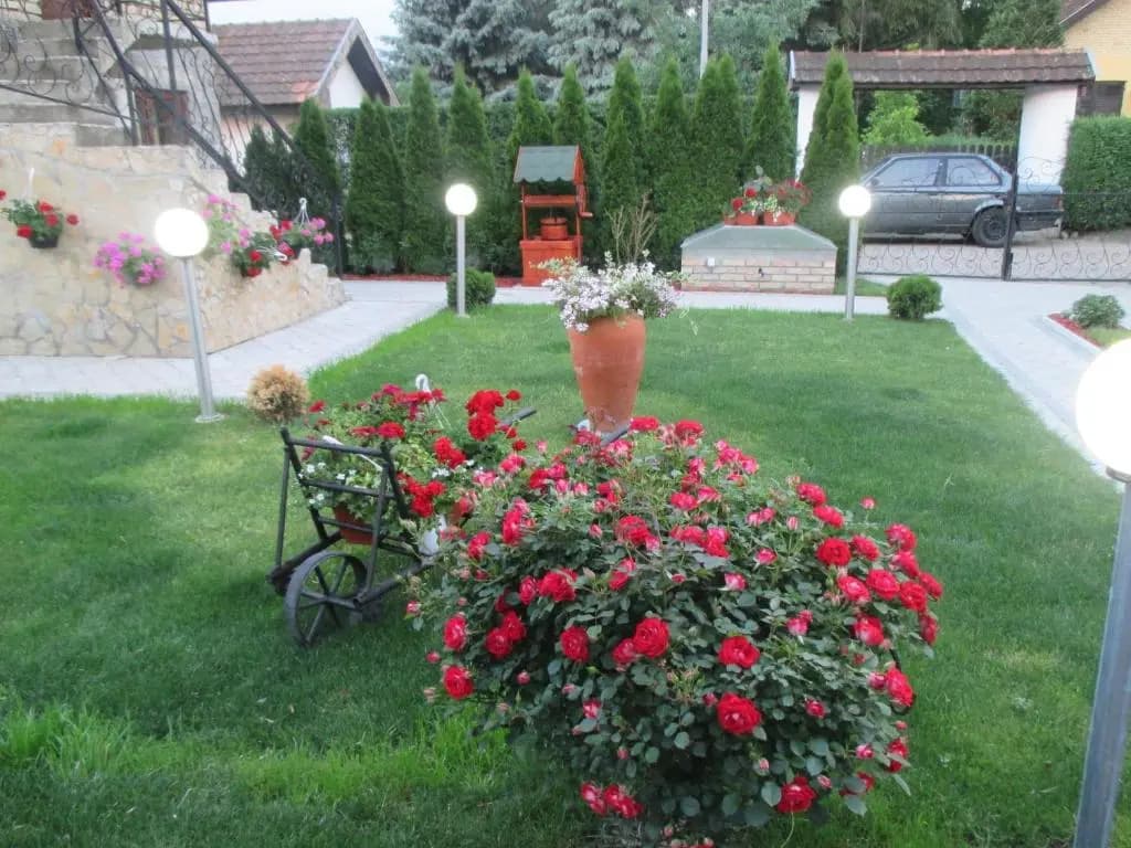 Photo 10