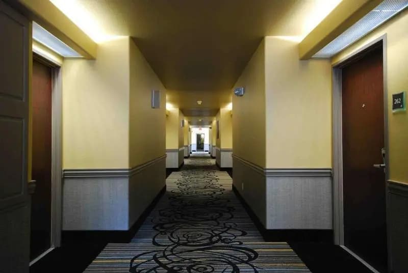 Photo 45