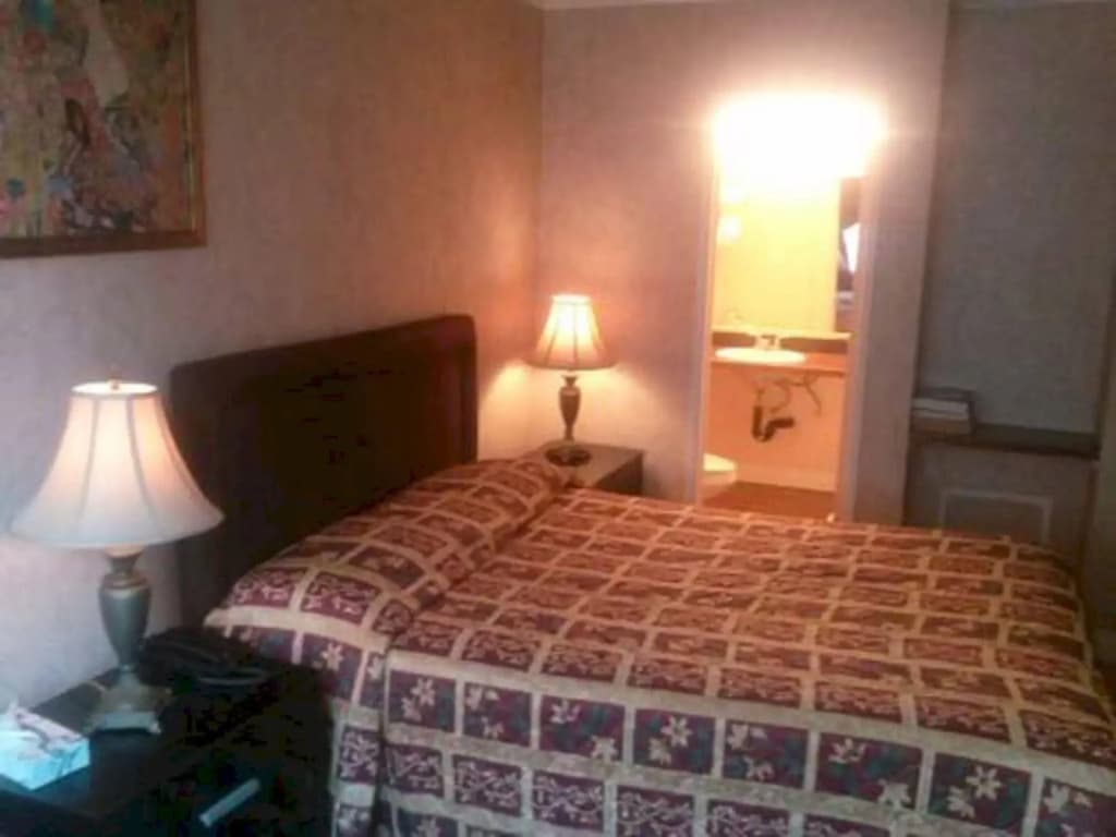 Photo 7