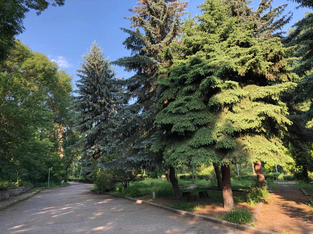 Photo 32