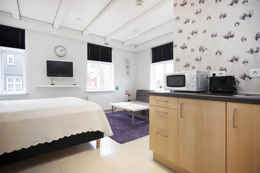 Cozy central apartment in the heart of Reykjaviks city center