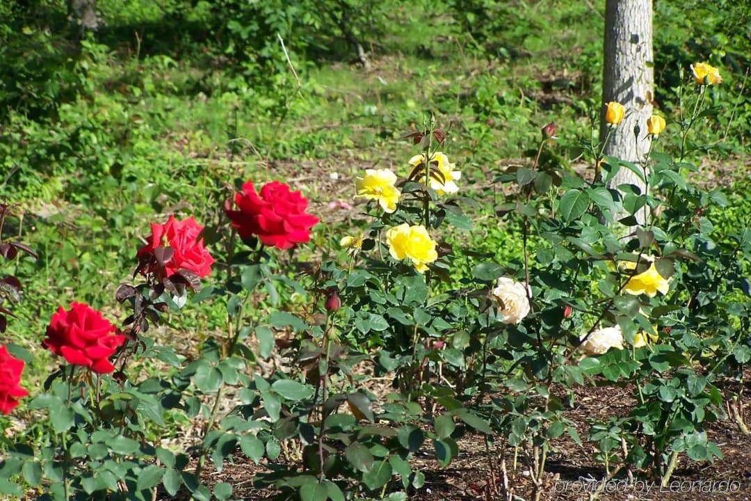 Photo 14